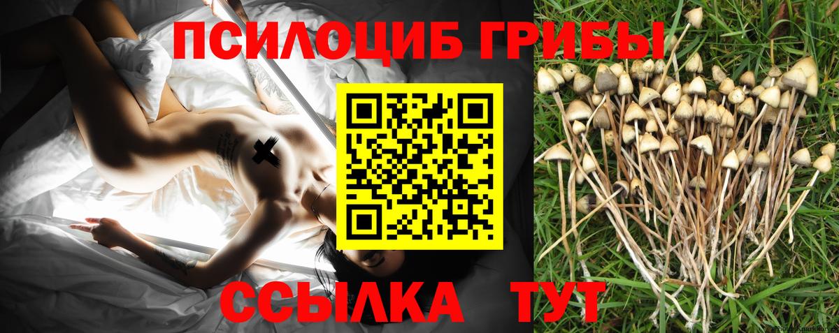 Псилоцибиновые грибы MAGIC MUSHROOMS  Вход с VPN  Галлюциногенные грибы ЛСД  Миасс 