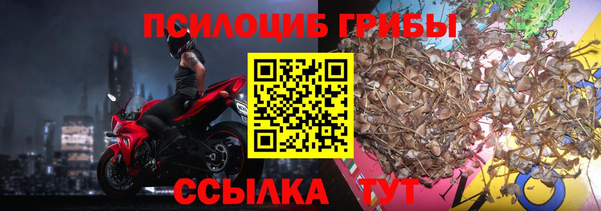Галлюциногенные грибы MAGIC MUSHROOMS Миасс